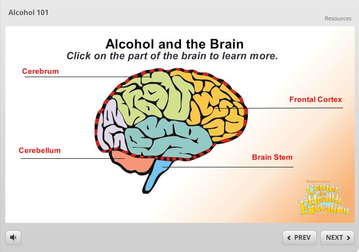 alcohol-and-the-brain